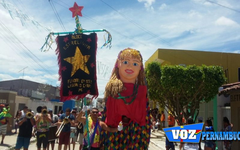Bloco Estrelinha arrastou foliões pela ruas de Lagoa do Carro neste domingo (07) com trio e banda